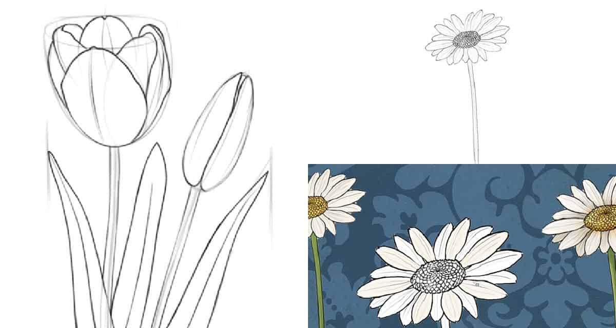 Pictures Of Flowers To Draw For Beginners
