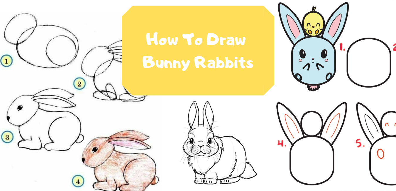 how to draw a simple bunny