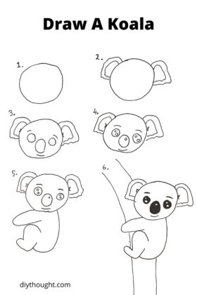 How To Draw A Koala & Kiwi - diy Thought