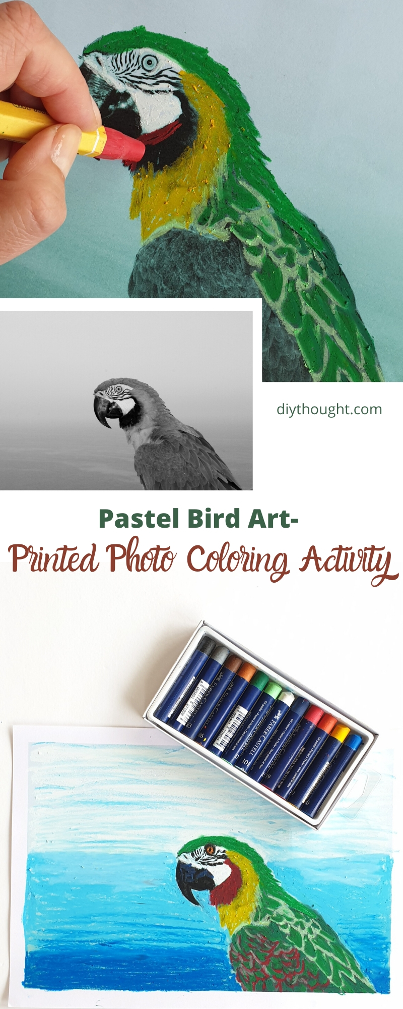 Pastel Bird Art- Printed Photo Coloring Activity - diy Thought