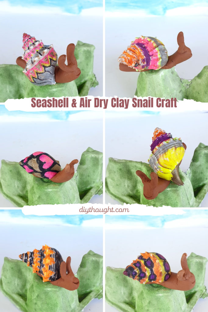 Seashell & Air Dry Clay Snail Craft - DIY Thought